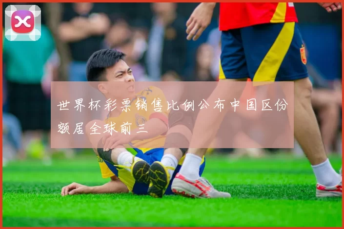 世界杯彩票销售比例公布中国区份额居全球前三