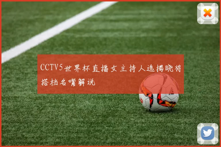 CCTV5世界杯直播女主持人选揭晓将搭档名嘴解说